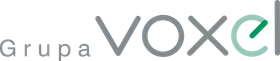 Grupa Voxel