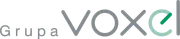 Grupa Voxel